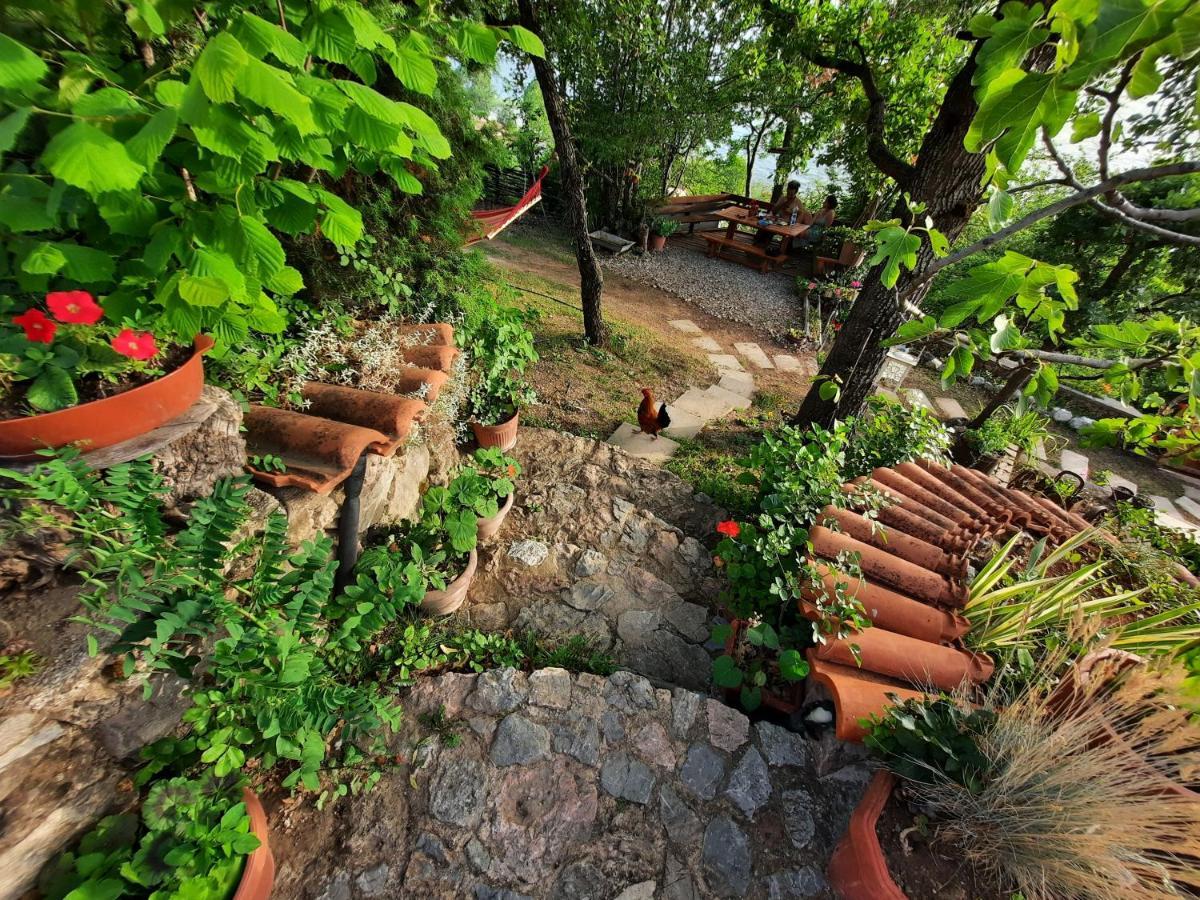 Robinson Sunset Guest House Lagadin Dış mekan fotoğraf